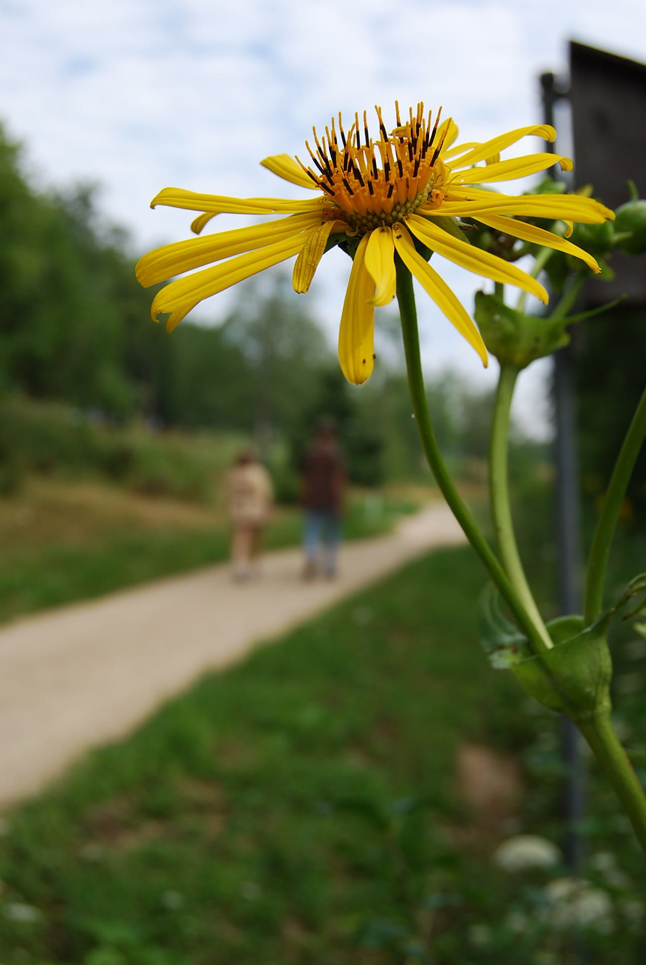 hikers at pheasant branch conservancy middleton