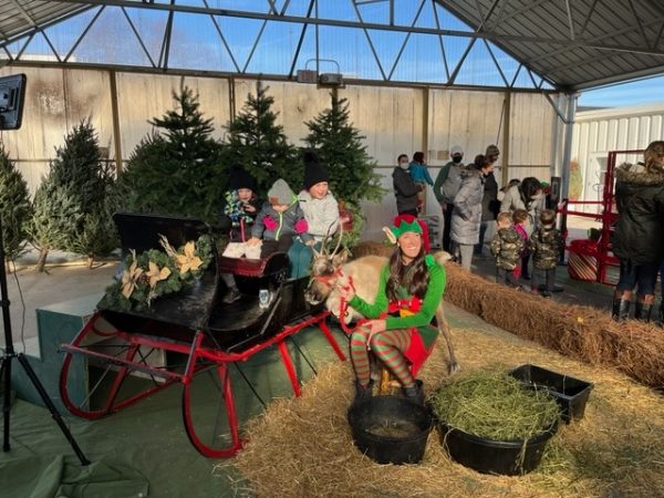 A group of people sitting in a sleigh in a barn.