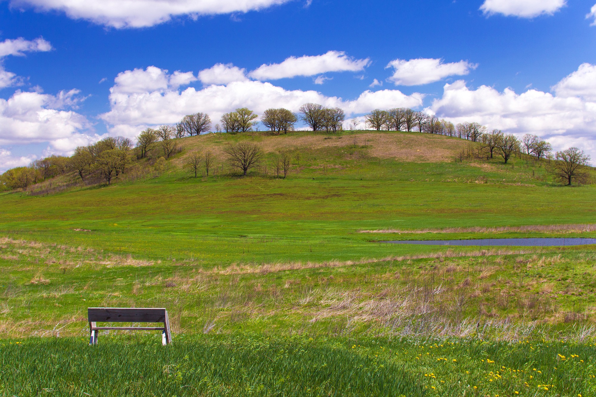 frederick's hill pheasant branch conservancy middleton wisconsin